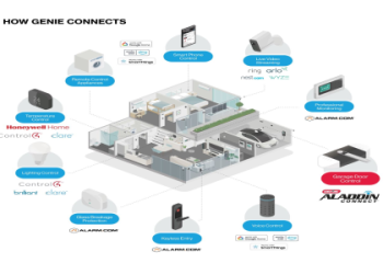 1013 Meaning Explained: Easy Guide for Beginners!