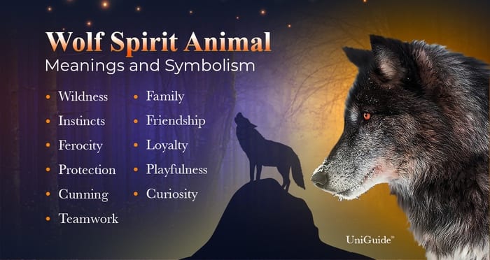 Wolves symbolism: what do wolves symbolize in different cultures?