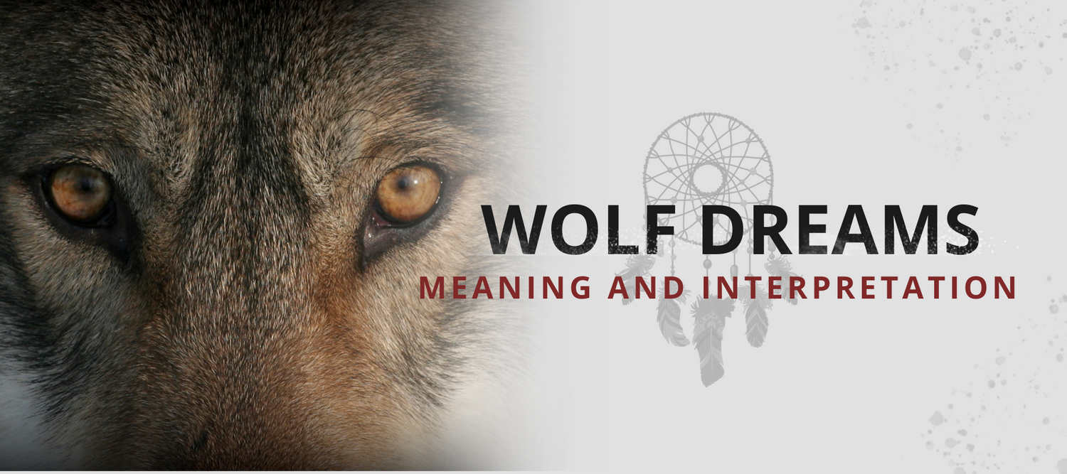 Understanding the Significance of Wolves in Dreams: A Beginners Guide