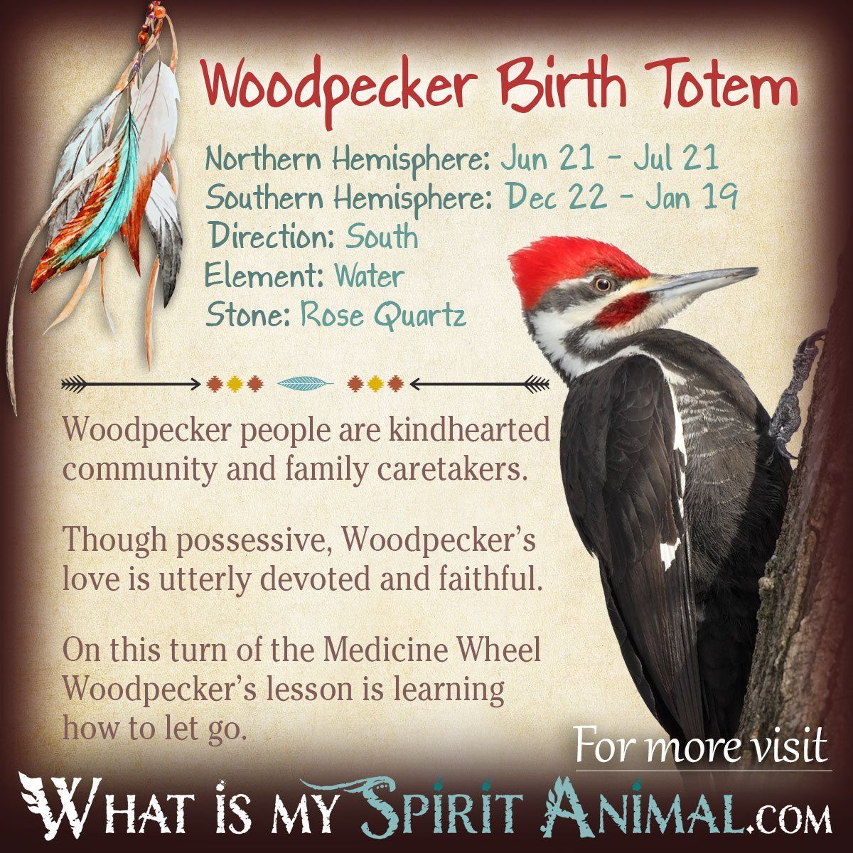 Animal Totem Woodpecker: Is It Calling to You? find more!