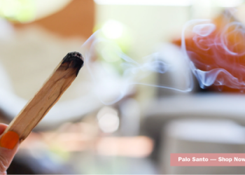 Tarot Deck Cleansing with Sage: Why is burning sage is so popular way?