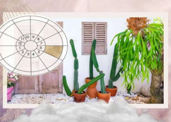 Sun in Sagittarius in the Sixth House: What Does It Mean for You?