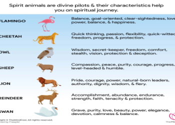 What Does a Cheetah Represent? Learn the Amazing Meanings!