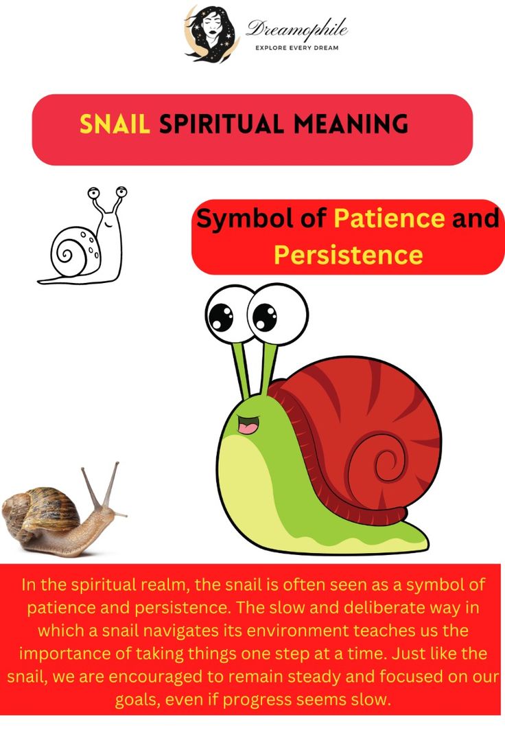 Meaning of Snails Spiritually: Patience and Slow Progress.