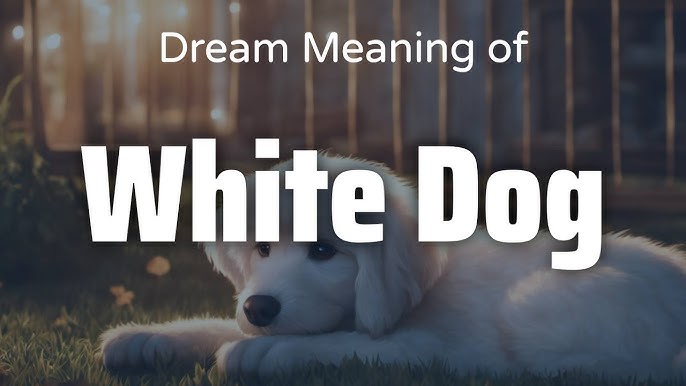 What does the white dog dream meaning reveal? Simple explanations for your psyche.