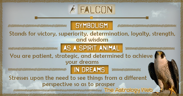 Spiritual Meaning of a Falcon: Decoding the Symbolism