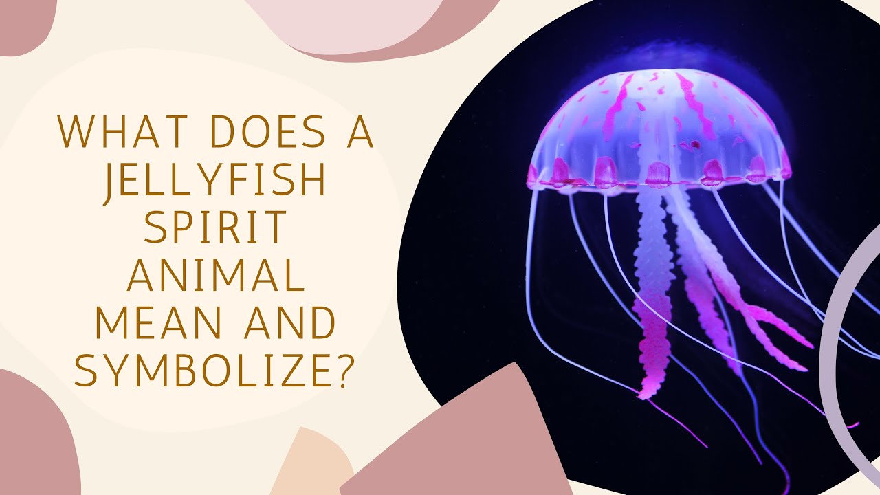 What does a jellyfish symbolize? Easy guide for beginners here!