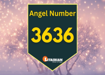 338 Angel Number: What Does It Mean in Love and Relationships?