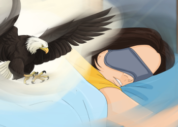 Seeing Wild Turkeys? Find Out Their Hidden Spiritual Messages.