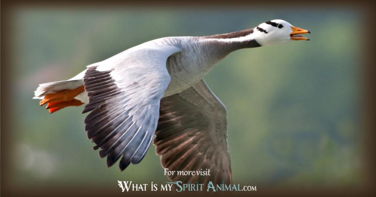 How can the goose totem help guide your life? (Explore its lessons of community)