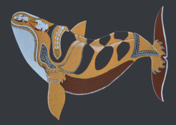 Whats the Meaning When I see Killer Whale in Dream?