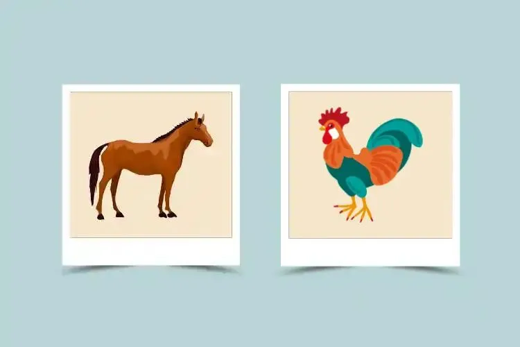 Horse and Rooster Compatibility: The Ultimate Guide to Relationships.