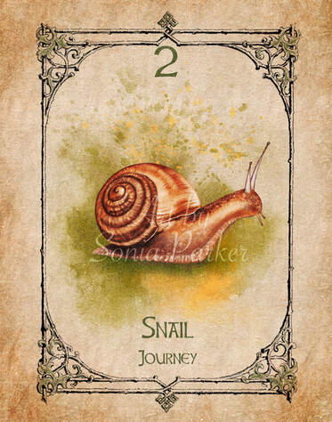 Snail spirit animal wisdom for you (Stay grounded always)