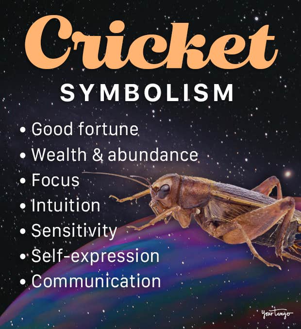Cricket in Dream Meaning: Is It Good or Bad Omen?