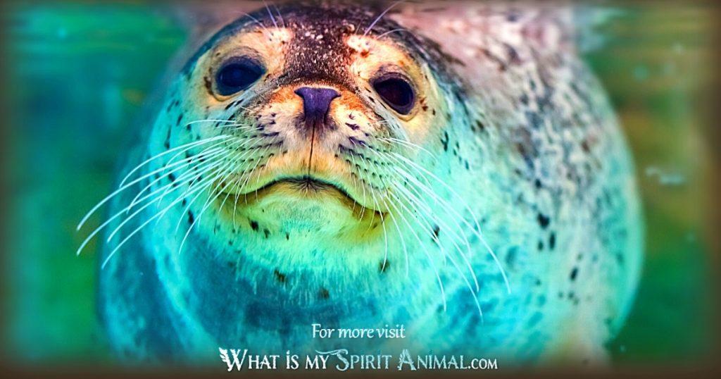 Seal Spirit Animal Guide: Understanding Its Messages & Powers