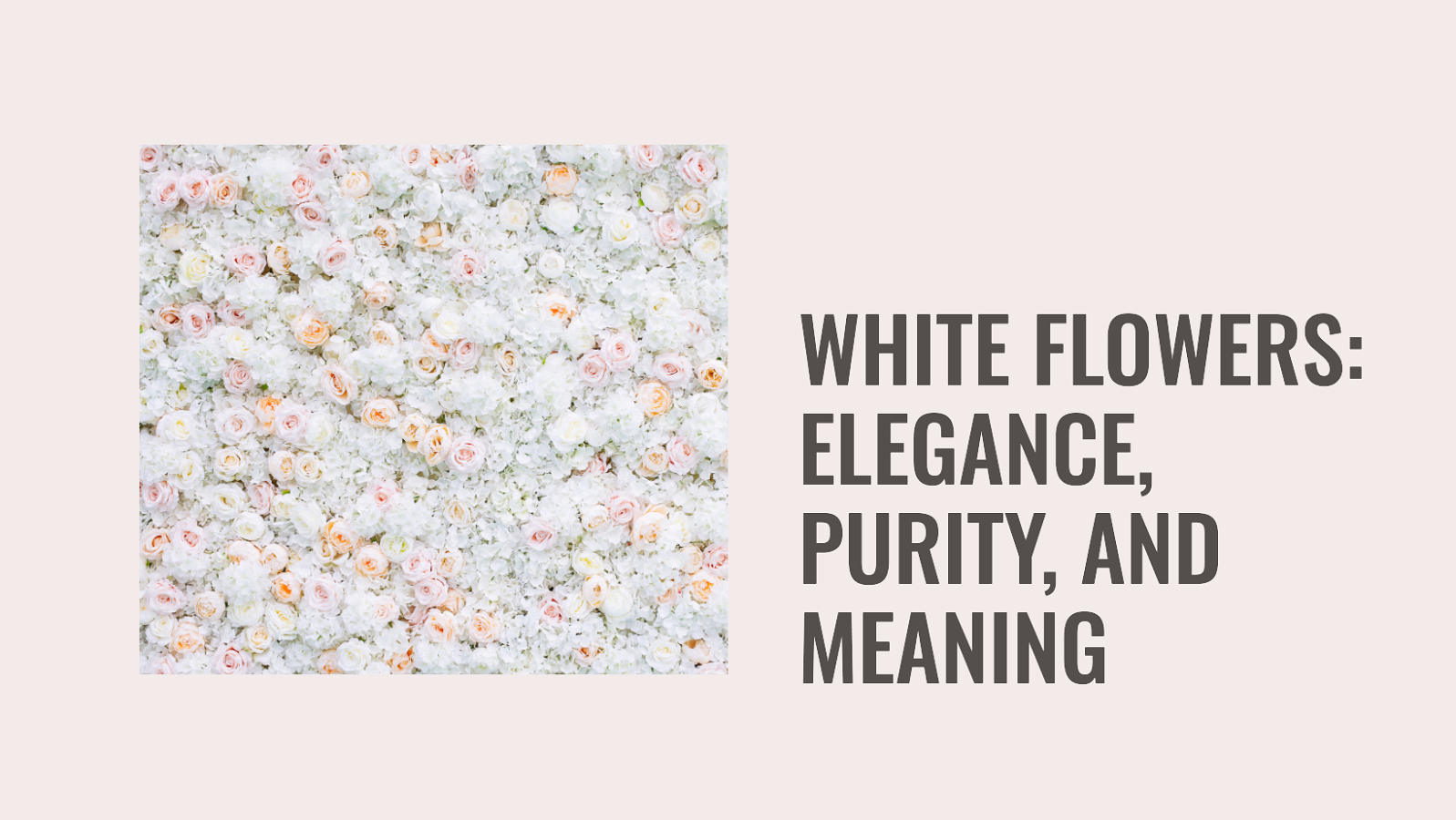Why explore the significance of white flowers? Find out how they convey powerful emotions without words.