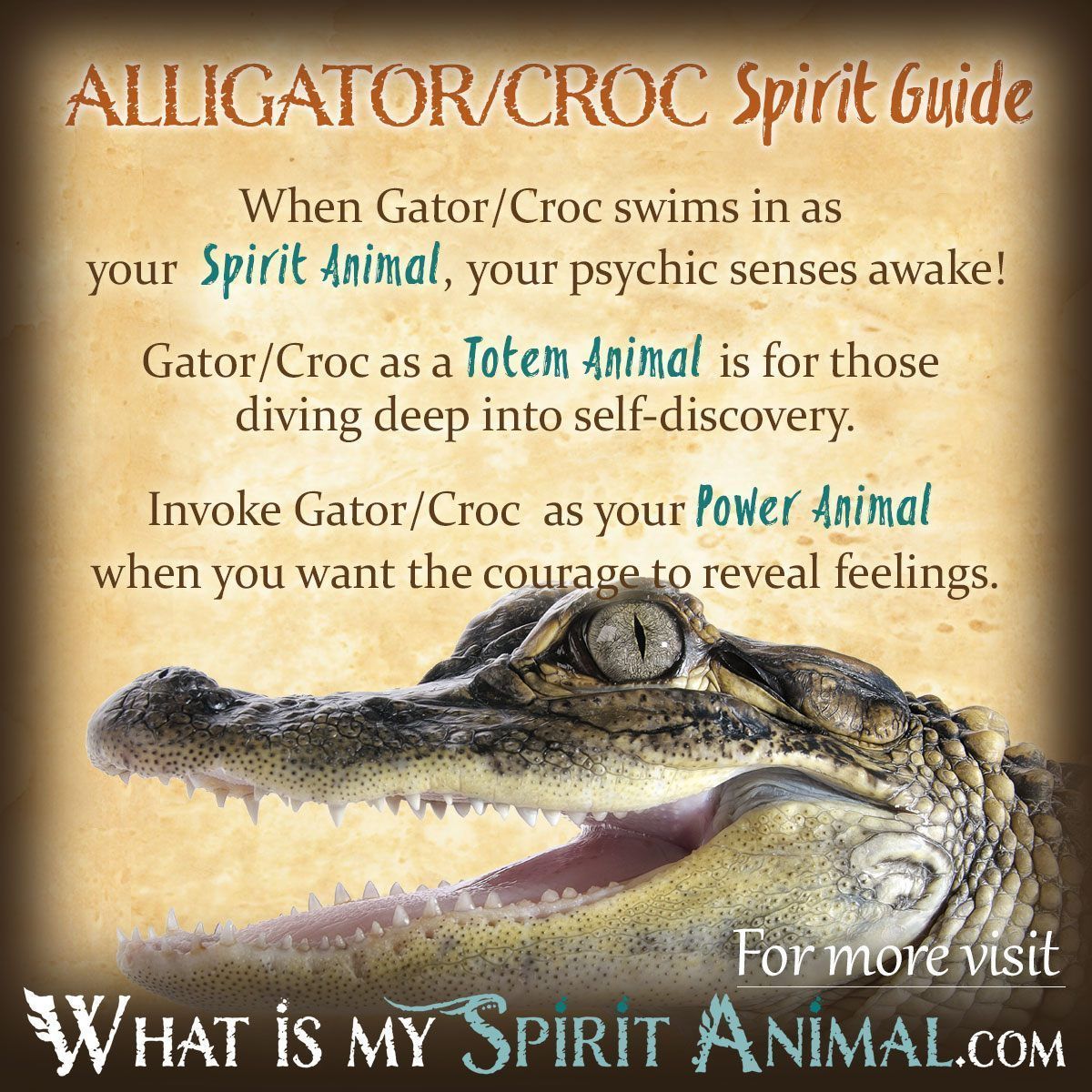 Animal Totem Alligator Meaning: What does it symbolize?