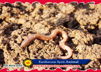 Earthworm Spiritual Meaning: A Guide to Understanding