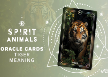 The mountain lion animal totem: Embrace courage and leadership now!