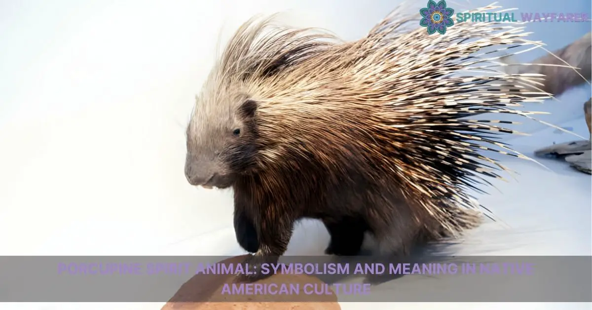 Porcupine spiritual meaning: What message are you receiving?