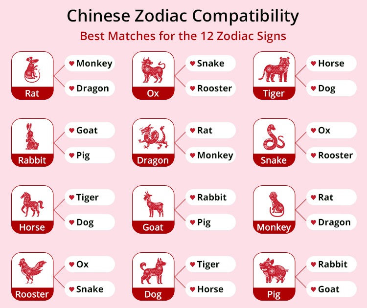 Monkey and Rabbit Compatibility: Can They Get Along?
