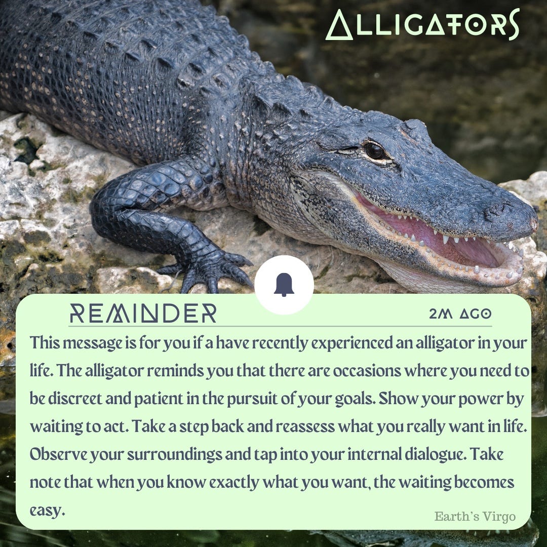 Animal Totem Alligator Meaning: What does it symbolize?