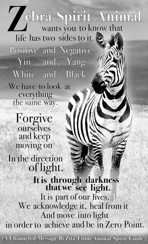 What Does the Zebra Spirit Animal Mean for You?
