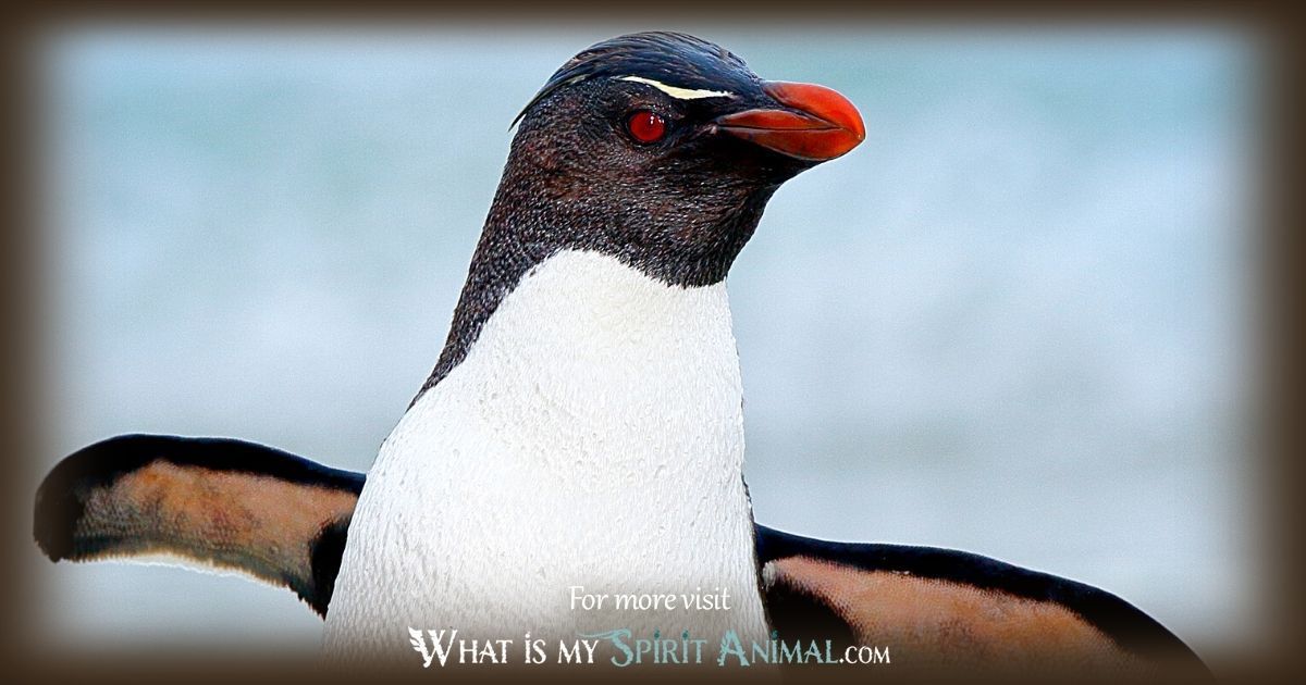 The Magic of Penguin Animal Totem: Connection Explained