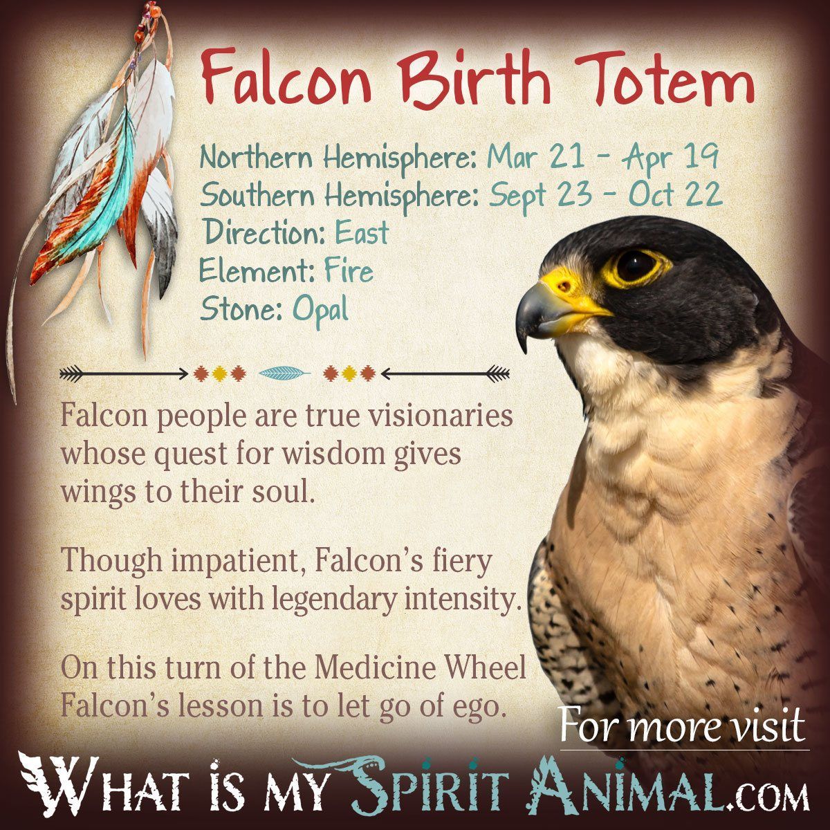 Falcon Totem Meaning: Discover Secrets About This Power Animal!
