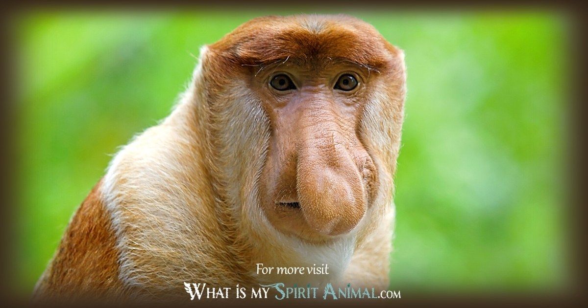Discover the Power of the Monkey Animal Totem: Meaning and Guidance