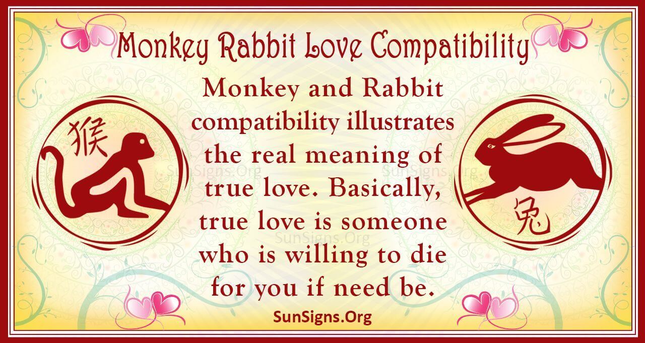 Monkey and Rabbit Compatibility: Can They Get Along?