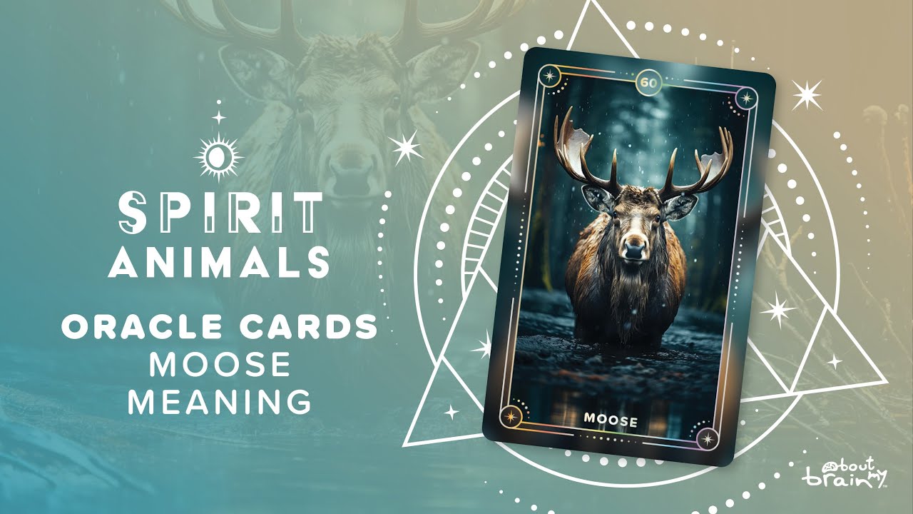 Moose as a spirit animal meanings explained simply (what you need to know about this majestic guide)?