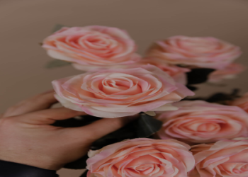 Why explore the significance of white flowers? Find out how they convey powerful emotions without words.