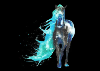 What Does the Zebra Spirit Animal Mean for You?