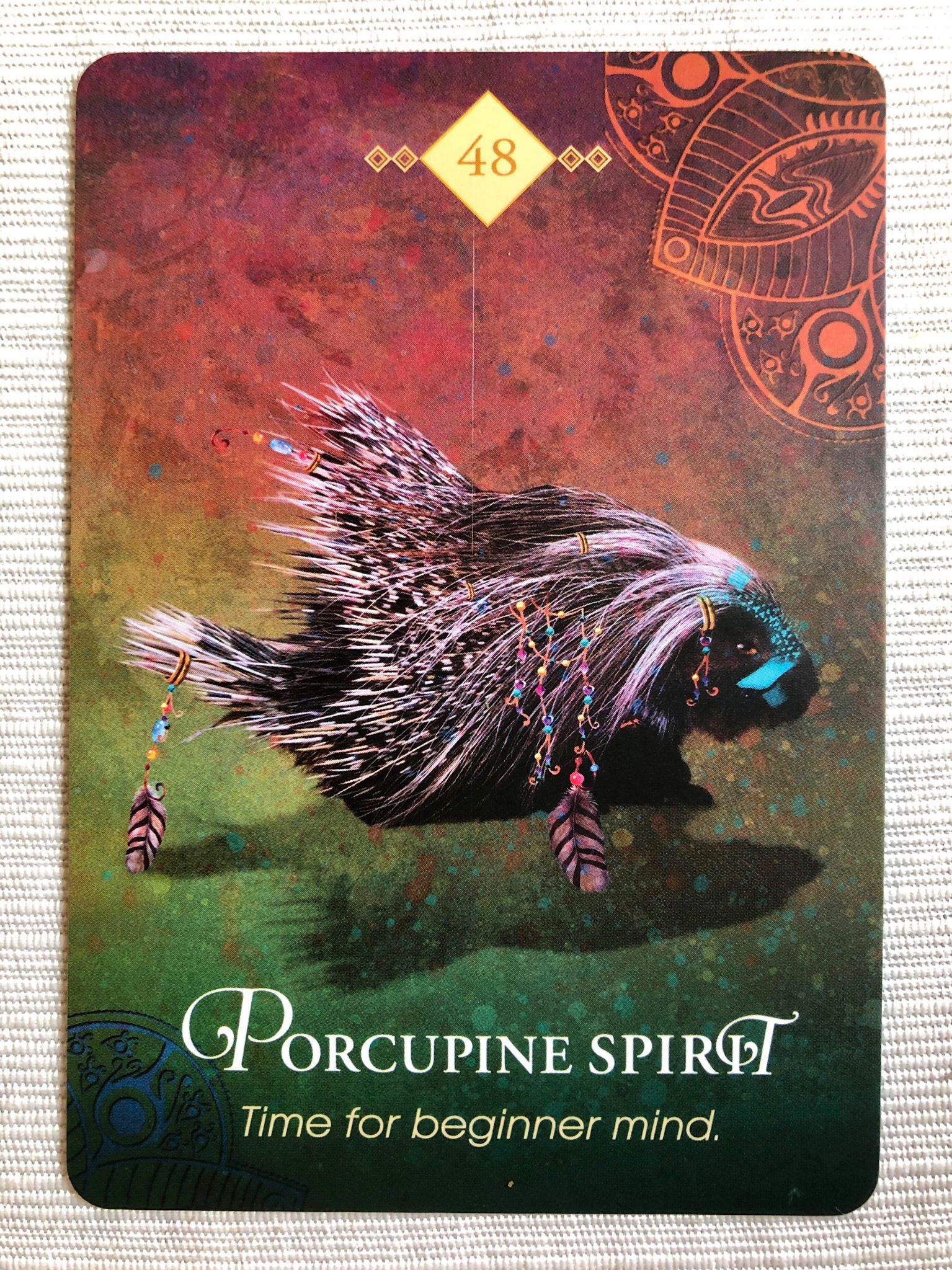 Porcupine spiritual meaning: What message are you receiving?