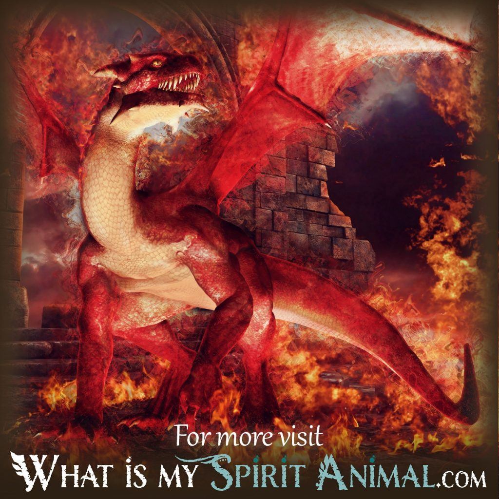 I Dream About a Dragon Every Night: What Does It Mean?
