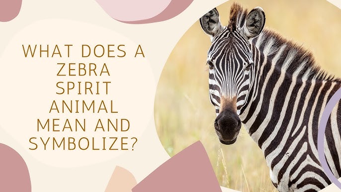 What Does the Zebra Spirit Animal Mean for You?