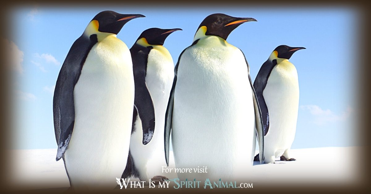 The Magic of Penguin Animal Totem: Connection Explained