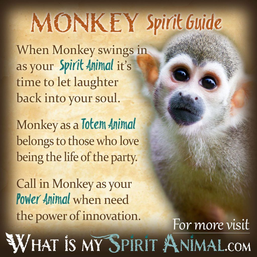 Discover the Power of the Monkey Animal Totem: Meaning and Guidance
