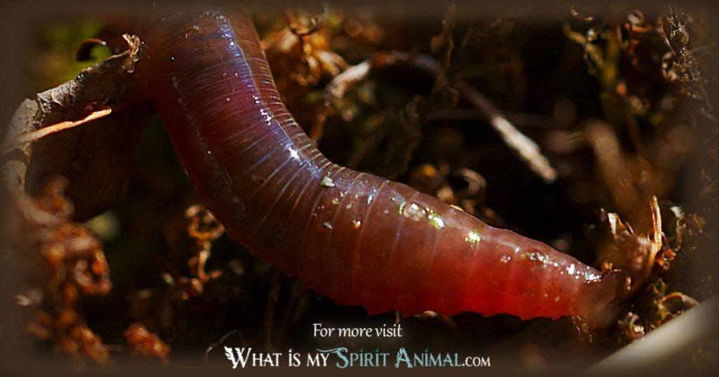 Earthworm Spiritual Meaning: A Guide to Understanding