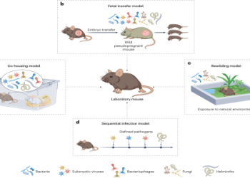 Mouse Animal Medicine: Best Practices for Animal Care