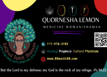 Why should you care about koala spiritual meaning? Find out how its symbolism brings tranquility into your everyday life.