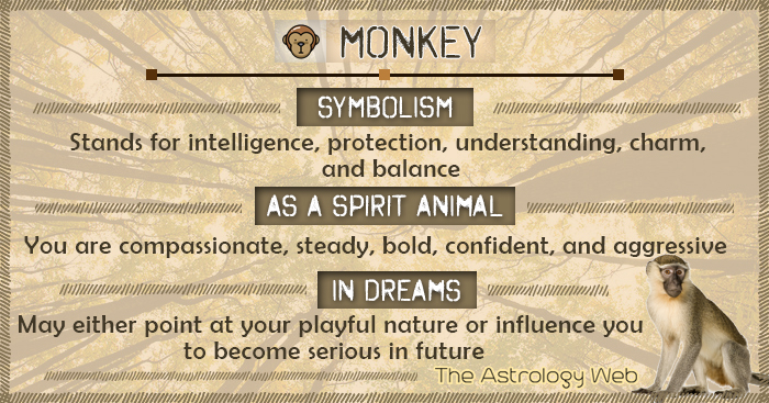 Spiritual Meaning Monkey Dream? Understand the Symbolism