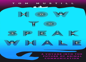 Why is the spirit animal killer whale so significant? Exploring the amazing power and life lessons from this guide.