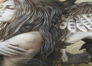 Is the Pelican Your Spirit Animal? Find Out What It Signifies