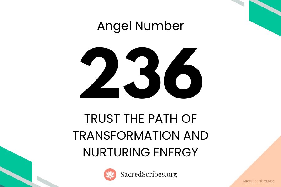 Unlock the powerful meaning behind the 236 angel number: Your angels are sending important guidance now.