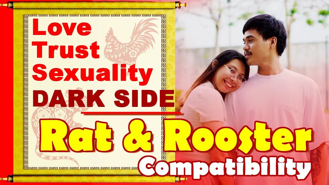 Is rooster and rat compatibility good for love? Exploring the honest truth about their romantic potential.