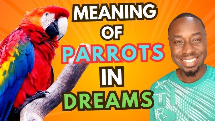 What Do Parrots Represent in Dreams? Get Answers Now!