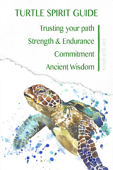 Understanding Sea Turtle Symbolism: A Quick Guide