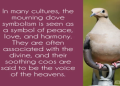 Dove Totem: Discover Its Spiritual Meaning and Significance Now